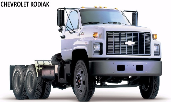 kodiak